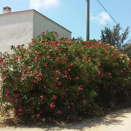 Pequena Casa Rural En El Centro Del Delta Del Ebro Amposta Exterior photo