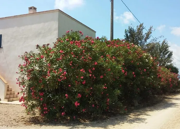 Pequena Casa Rural En El Centro Del Delta Del Ebro